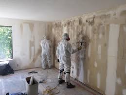 Why You Should Choose Our Mold Remediation Services in Round Rock, TX